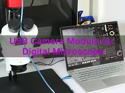 Módulo de cámara USB para microscopio digital: cómo elegir la solución de imá...